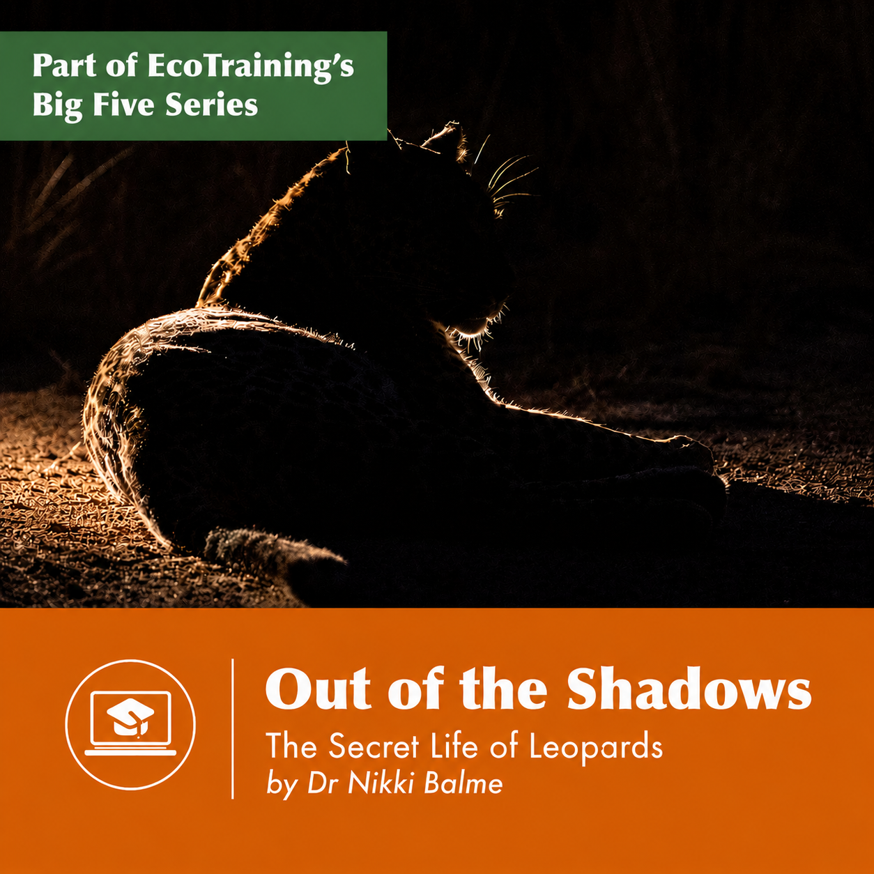 Out of the Shadows.